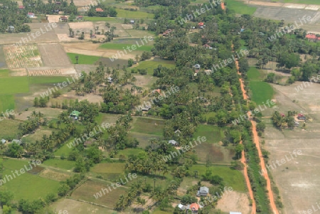 The Landscape with a ricefield near the City of Siem Riep in the west of Cambodia.