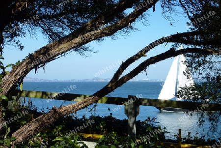 Segelboot auf dem Pazifik