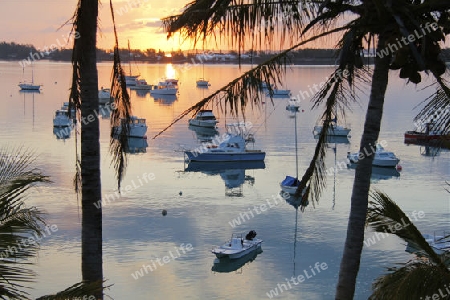 Bermuda Sunrise