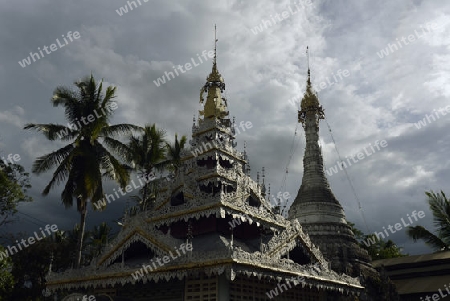 Der Tempel Wat Jong Kham und Jong Klang am See Nong Jong Kham im Dorf Mae Hong Son im norden von Thailand in Suedostasien.