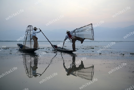 Fishermen at sunrise in the Landscape on the Inle Lake in the Shan State in the east of Myanmar in Southeastasia.