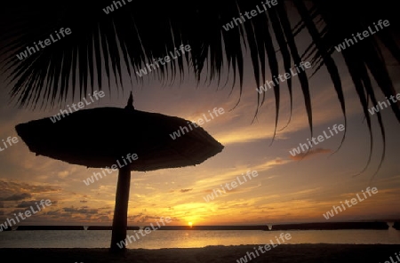 
Der Traumstrand mit Palmen und weissem Sand an der Insel Velavaru im Southmale Atoll auf den Inseln der Malediven im Indischen Ozean.   