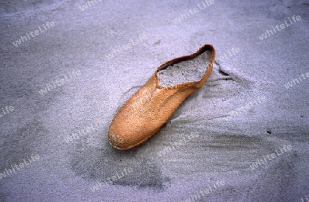 verlorener Schuh