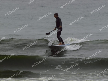 cooler Stehpaddler am Meer