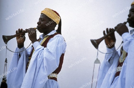 Musiker bei einem Auftritt in Houmt Souq auf der Insel Jerba am Mittelmeer  in Tunesien in Nordafrika.  