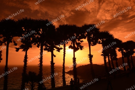 Der Aussichtspunkt Kap Promthep bei der Rawai Beach im sueden der Insel Phuket im sueden von Thailand in Suedostasien.