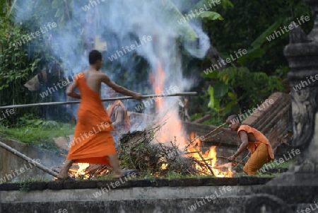 Der untere Teil des Tempel Wat Phra That Doi Kong Mu ueber dem Dorf Mae Hong Son im norden von Thailand in Suedostasien.