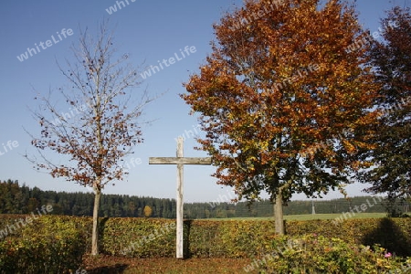 Herbststimmung