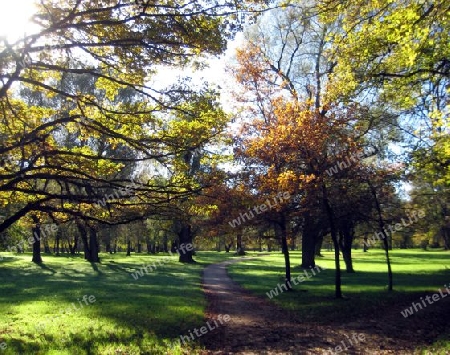 Englischer Garten M?nchen