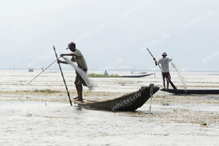 A fishingboat on the Lake Inle near the town of Nyaungshwe at the Inle Lake in the Shan State in the east of Myanmar in Southeastasia.