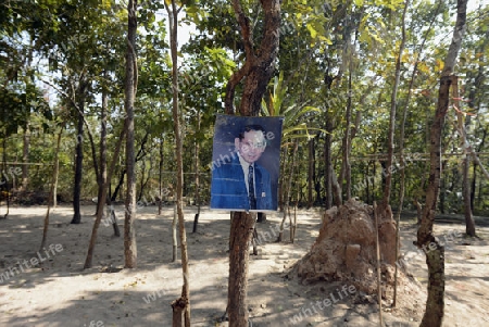 Ein Bild des Thailaendischen Koenig Bhumibol bei einem Tempel bei Amnat Charoen im Isan im osten von Thailand,