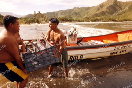 Suedamerika, Karibik, Venezuela, Nord, Chuao, National Park Hanri Pittier, Dorf, Cacao Dorf, Kakao Dorf, Beach, Strand, Boot, Taxiboot, Fisch Transport, Fischer, Dorf ohne Strassenverbindung, Wirtschaft