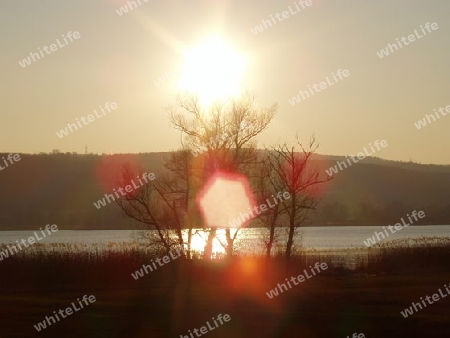 Greifensee im Licht