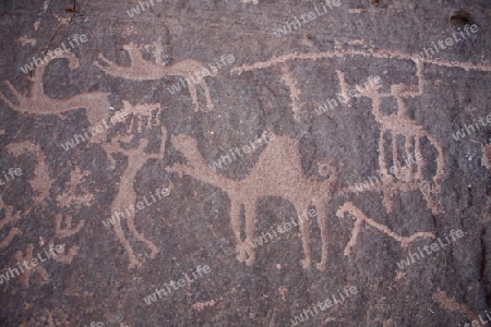 Pre Historic Paintings in a Rock in the Wadi Rum Desert in Jordan in the middle east.