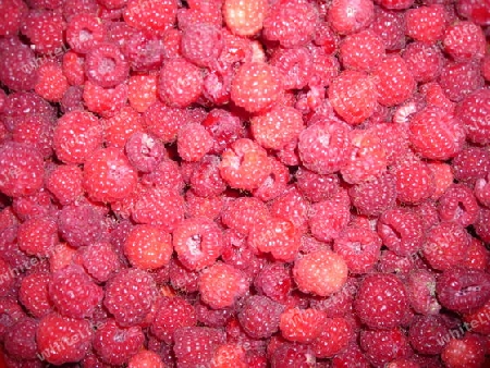 Himbeeren