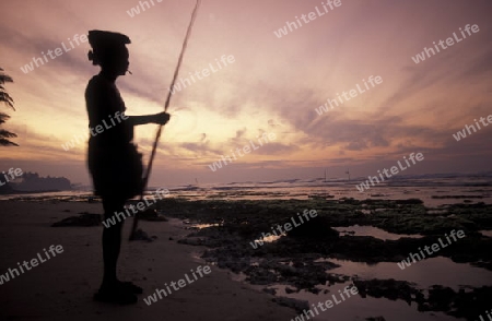 Asien, Indischer Ozean, Sri Lanka,
Traditionelle Fischer sogenannte Stelzenfischer beim Fischen in der naehe des Kuestendorf Ahangama an der Suedkueste von Sri Lanka. (URS FLUEELER)






