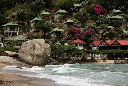 Der Strand  von Tanote Bay Beach auf der Insel Ko Tao im Golf von Thailand im Suedwesten von Thailand in Suedostasien. 