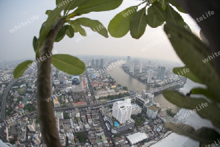 The Skyline view from the Sky Bar at the Riverside Aerea in the city of Bangkok in Thailand in Southeastasia.