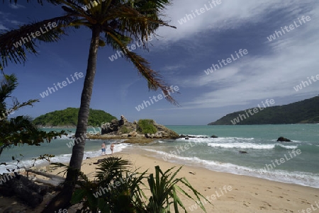 Ein Strand in Hat Nai Harn im sueden der Insel Phuket im sueden von Thailand in Suedostasien.