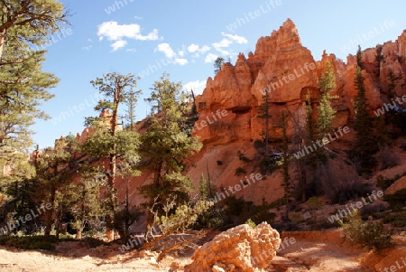 Bryce Canyon USA