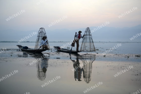 Fishermen at sunrise in the Landscape on the Inle Lake in the Shan State in the east of Myanmar in Southeastasia.