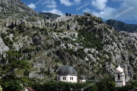 Die Berglandschaft mit der Stadtmauer von Kotor  in der inneren Bucht von Kotor am Mittelmeer  in Montenegro in Europa. 