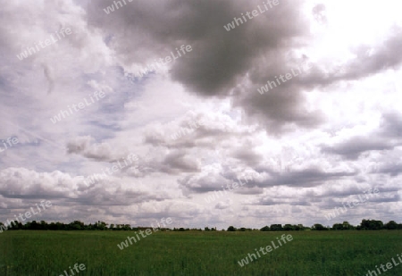 Himmel ?ber der Wiese