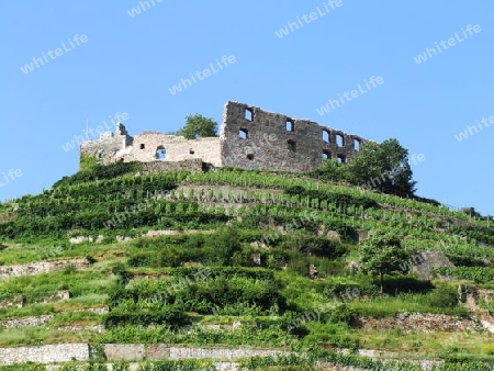 Burgruine Staufen Breisgau