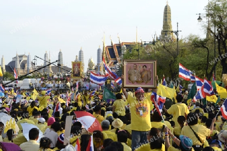 Tausende von Thailaender zelebrieren den Kroenungstag des Koenig Bhumibol auf dem Sanam Luang Park vor dem Wat Phra Kaew in der Stadt Bangkok in Thailand in Suedostasien.  