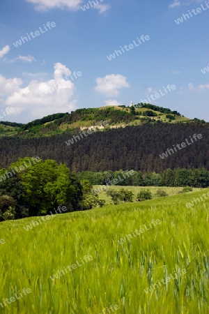 Landschaft Lindig mit Leuchtenburg