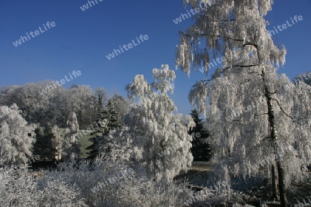 Traum in blauweiss