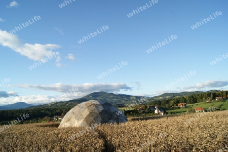 maisfeld vor der ernte