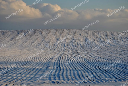 Feld im Winter