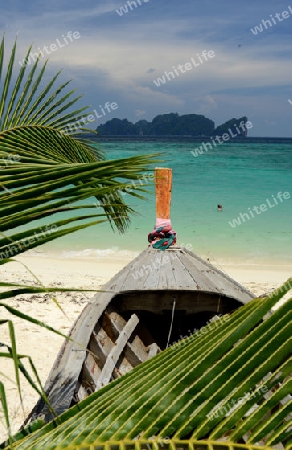 A Beach on the Island of Ko PhiPhi on Ko Phi Phi Island outside of the City of Krabi on the Andaman Sea in the south of Thailand. 