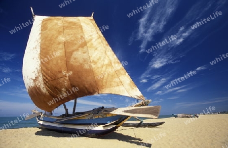 Asien, Indischer Ozean, Sri Lanka,
Ein traditionelles Fischerboot mit Fischern im Kuestendorf Negombo an der Westkueste von Sri Lanka. (URS FLUEELER)






