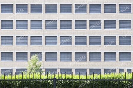 Fassade, Jalousien, Fenster, Beton, Stein