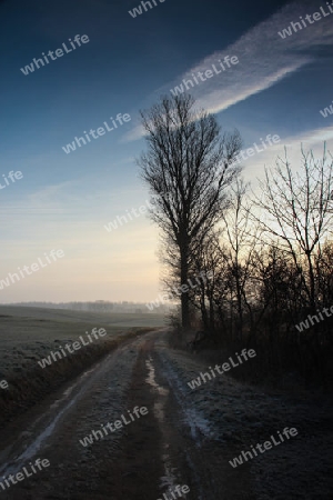 Wintermorgen