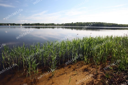 a smal lake near the town of Druskininkai in the south of Vilnius and the Baltic State of Lithuania,  