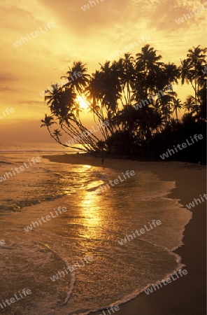 Asien, Indischer Ozean, Sri Lanka,
Ein Traumstrand beim Kuestendorf Hikkaduwa an der Suedwestkueste von Sri Lanka. (URS FLUEELER)






