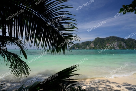 A Beach on the Island of Ko PhiPhi on Ko Phi Phi Island outside of the City of Krabi on the Andaman Sea in the south of Thailand. 