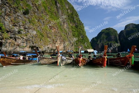 The Maya Beach  near the Ko Phi Phi Island outside of the City of Krabi on the Andaman Sea in the south of Thailand. 