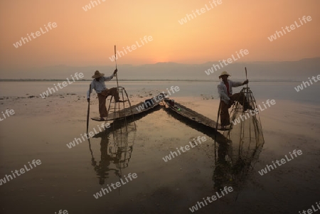 Fishermen at sunrise in the Landscape on the Inle Lake in the Shan State in the east of Myanmar in Southeastasia.