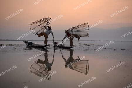 Fishermen at sunrise in the Landscape on the Inle Lake in the Shan State in the east of Myanmar in Southeastasia.