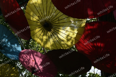 Traditionalle Schirme und Faecher aus Paier werden produziert in einer Papierschirm Fabrik in Chiang Mai im norden von Thailand in Suedostasien.