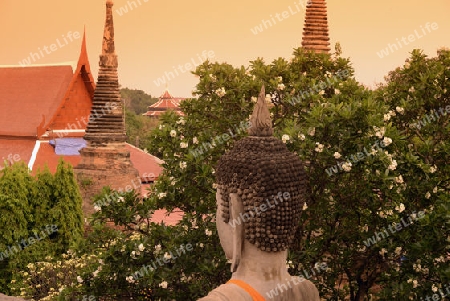 The Wat Yai Chai Mongkol Temple in City of Ayutthaya in the north of Bangkok in Thailand, Southeastasia.