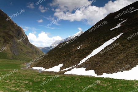 Wildental, Tuxertal, Oesterreich