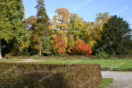 Herbst im Neuen Garten Potsdams