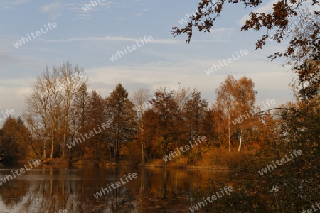 Herbst am See