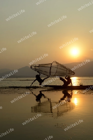 Fishermen at sunrise in the Landscape on the Inle Lake in the Shan State in the east of Myanmar in Southeastasia.