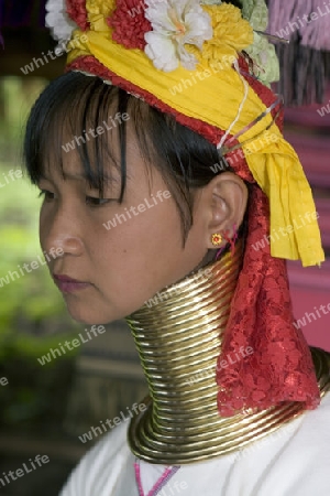 Langhalsfrau in Nordthailand